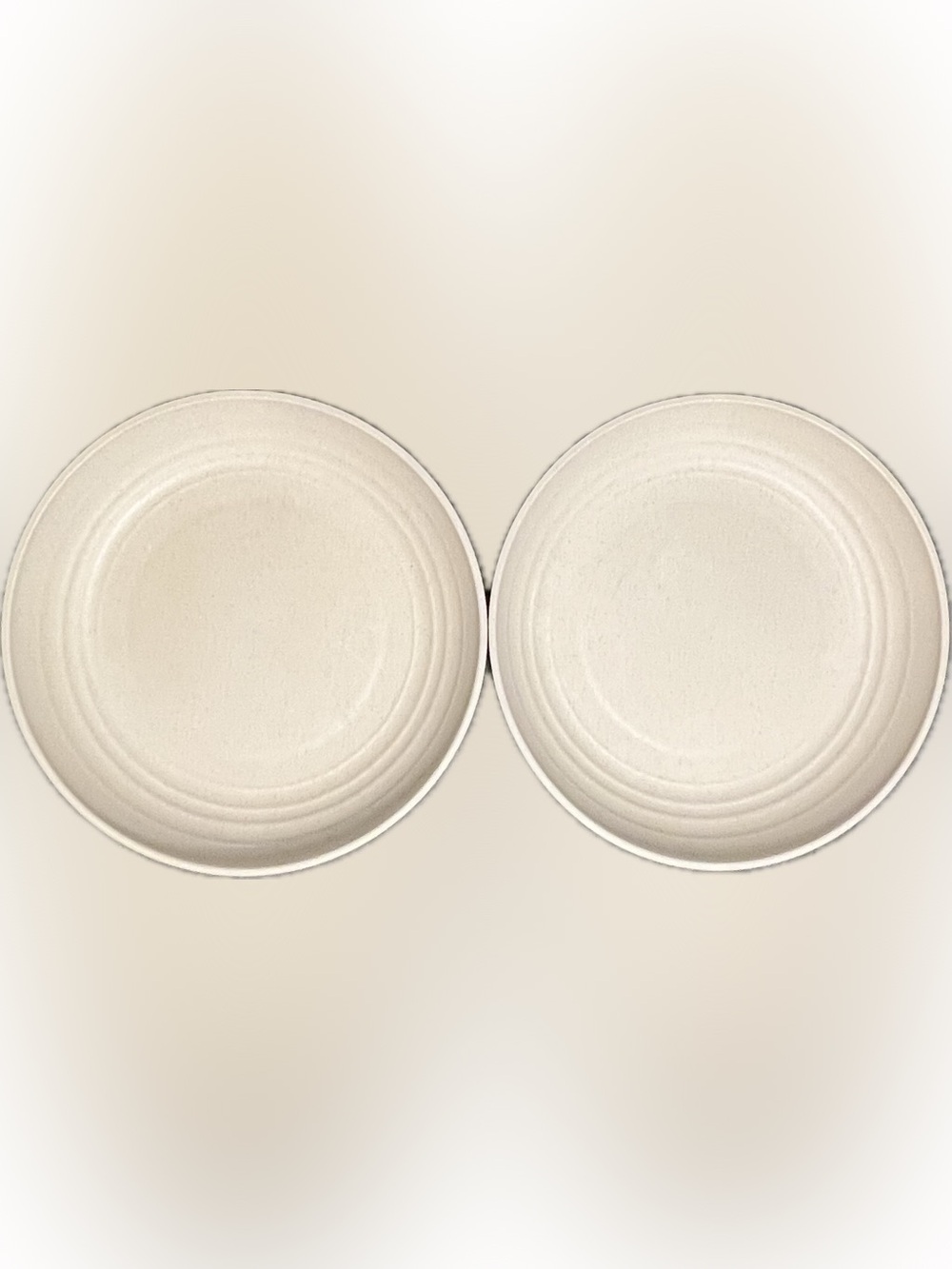 DeeCoo Dinner Plates Pale Biege Chip Resistant Set of 2